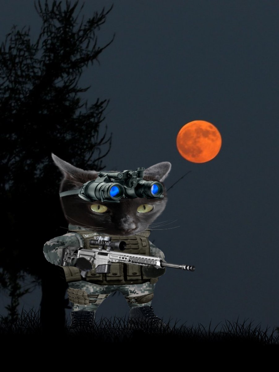 HRHTish's tweet image. #NAFO #Fellas #NAFOCatDivision
I'll be on this platform until Ukraine is victorious no matter what.
That said, if X becomes unsafe all of my personal content will be removed. I will post my life on other platforms. Details/updates in comments, TBD.
Russia Delenda Est.