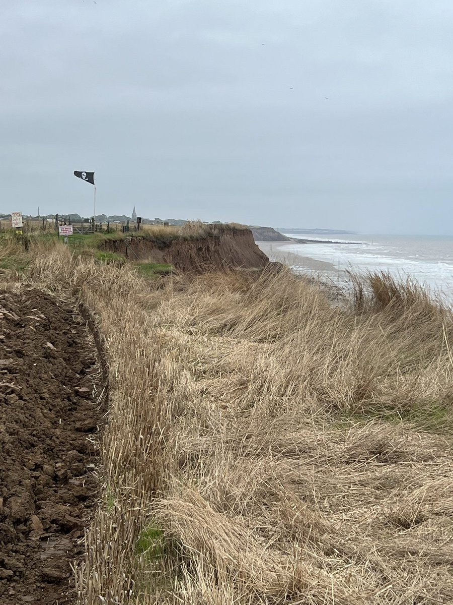 Sue Earle, came to see you, but you really have gone !