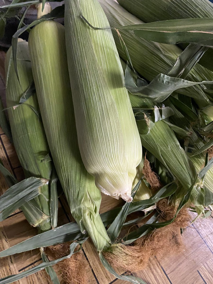 Darrell Romuld tweet media