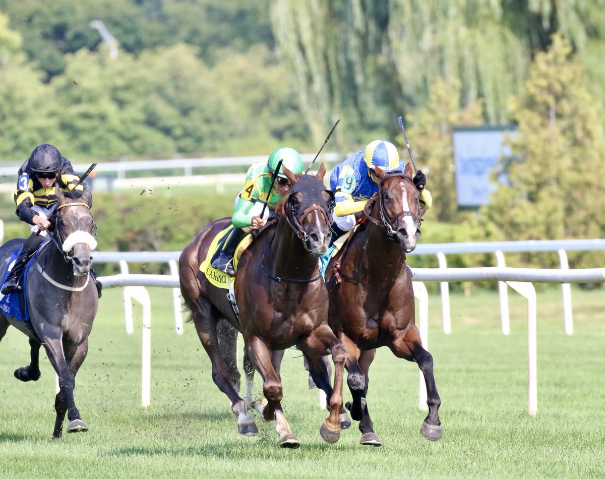 JohnGDooley's tweet photo. #FlashbackFriday to CARRICK (Giant’s Causeway) with @ljlmvel edging Analyze It after locking horns in the 2018 Secretariat Stakes (G.1) for Tom @morley_racing at Arlington Park for @DonegalRacing at 38/1 odds. Jerry Crawford made a lot of young fans happy that Chicago day too. https://t.co/4VEyLSuFu8