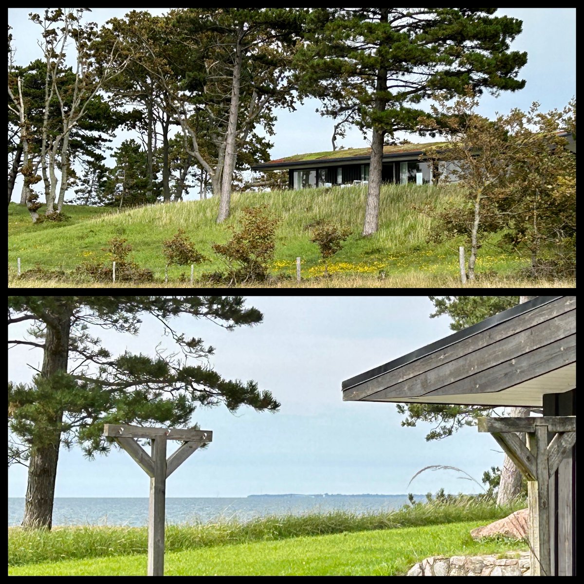 Johan de Groot (@johan_degroot) on Twitter photo 