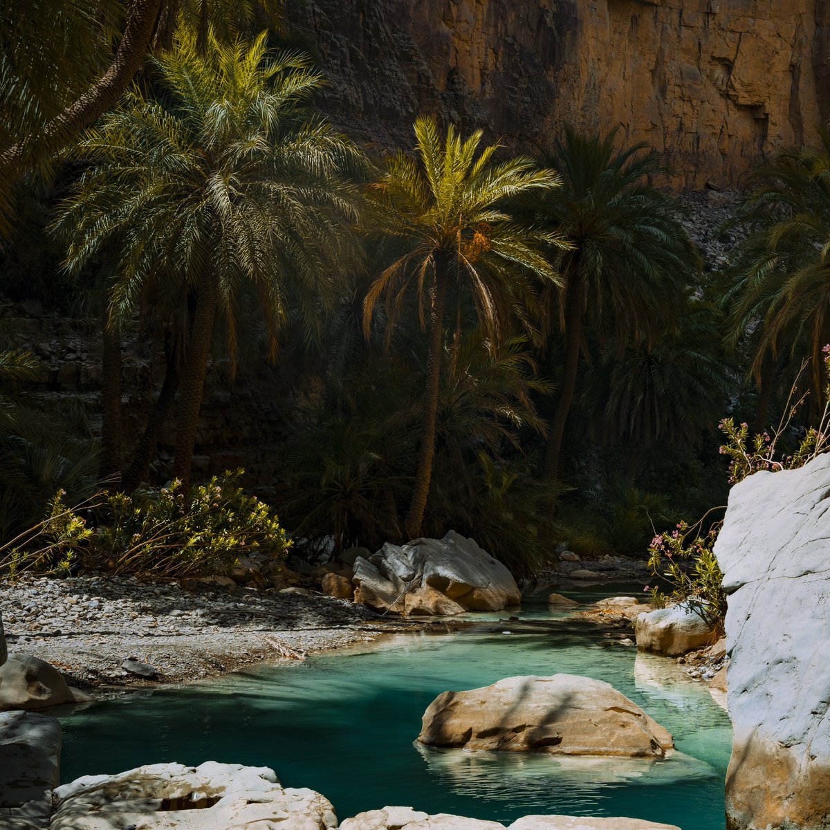 “Charo”

خضدار، بلوچستان

#Balochistan