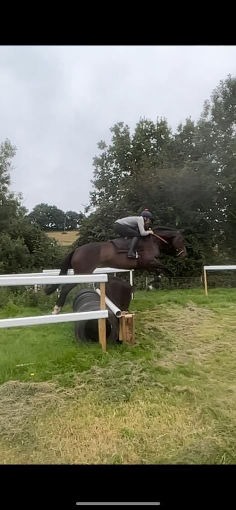 Manor Court Breaking and Pre-Training tweet media