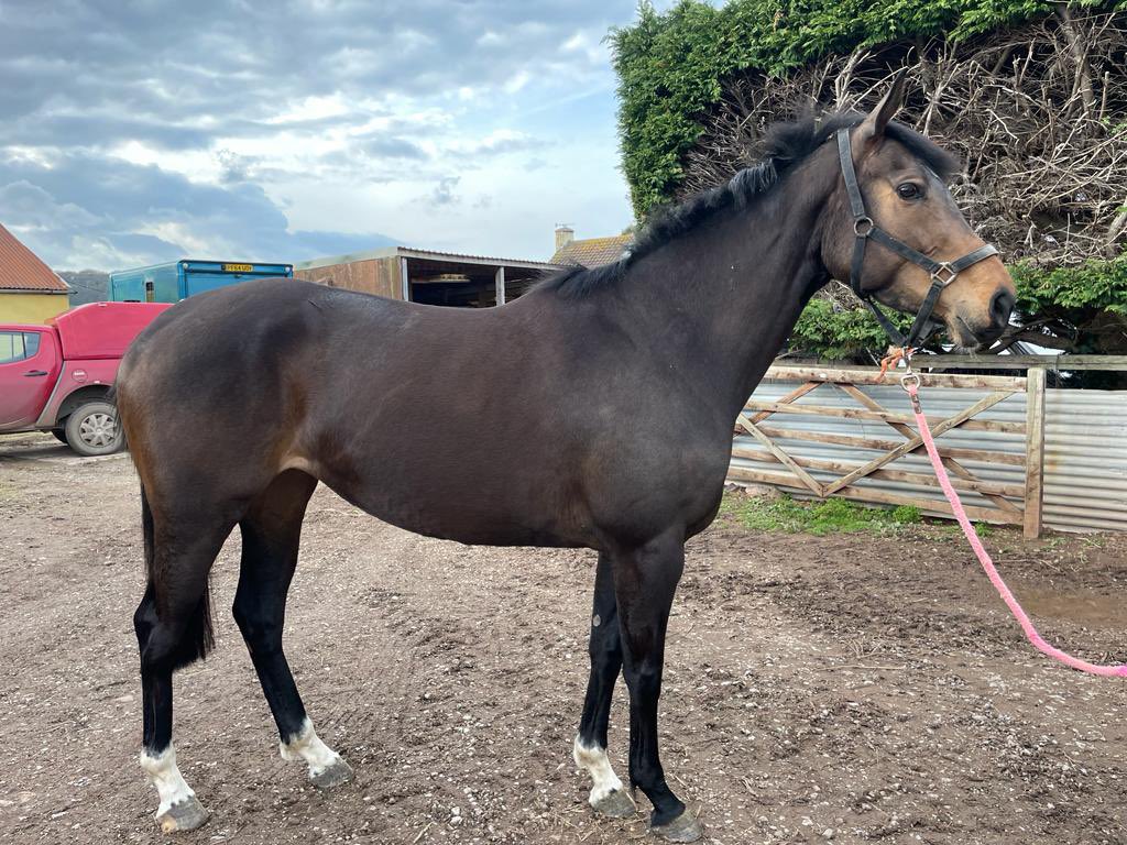 Manor Court Breaking and Pre-Training tweet media