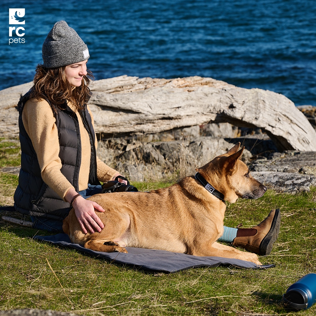 RC Pets tweet media