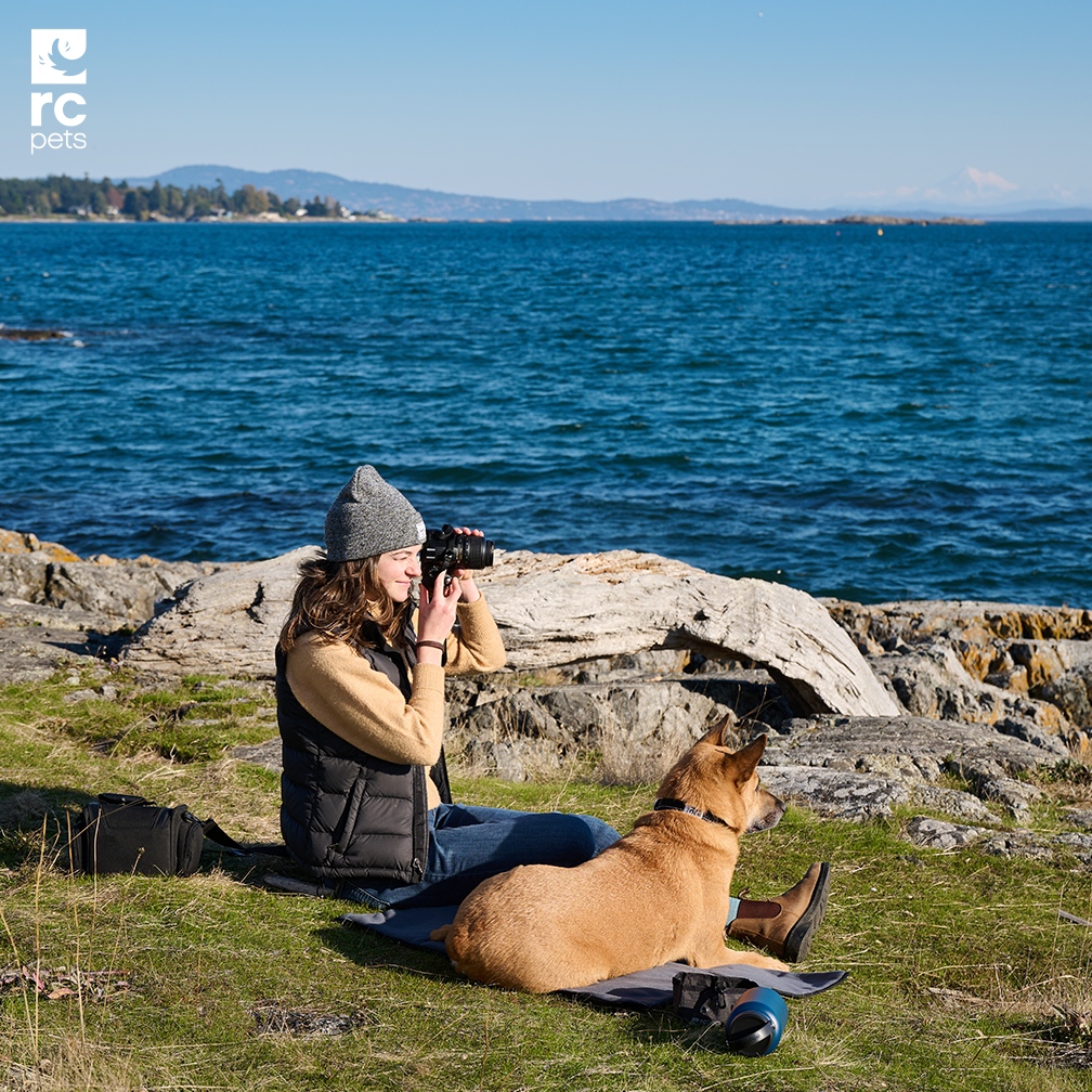 RC Pets tweet media