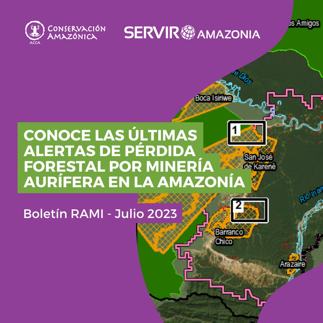 Las alertas de minería ilegal en la Amazonía para el mes de julio 2023 ya están disponibles en la plataforma RAMI (Monitoreo de Minería Satelital con Imágenes de Radar). 🛰

📰 Conoce más en el reporte 29: bit.ly/RAMI29 
➡ Visítanos en: rami.servirglobal.net