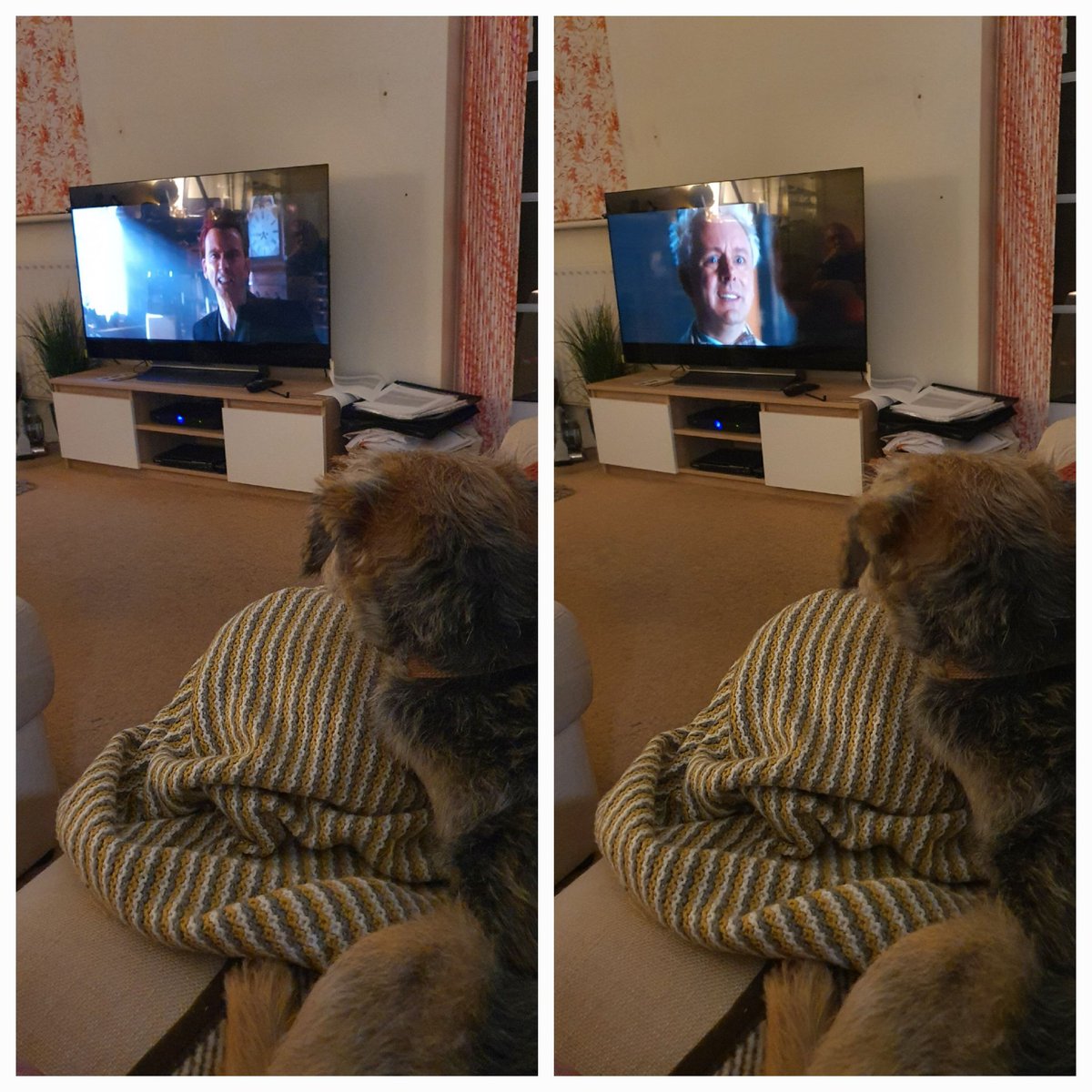 ElmslieBev's tweet photo. Barney fascinated by @GoodOmensPrime https://t.co/q5huYRq54t