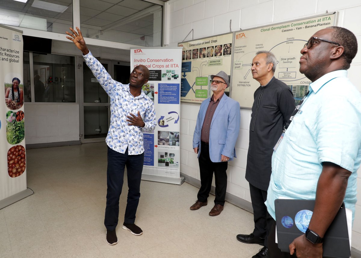 RadioIITA (@radioiita) on Twitter photo <a href="/IITA_CGIAR/">IITA</a> DG, <a href="/simeonehui/">Simeon Ehui</a> hosted Shubham Chaudhuri, Country Director for <a href="/WBG_Nigeria/">World Bank Nigeria</a> during his visit and tour of IITA's facilities in which he reinforced the institute's commitment to developing more viable technologies that would raise farmer's income in Sub-Saharan Africa. <a href="/IITA_CGIAR/">IITA</a> DG, <a href="/simeonehui/">Simeon Ehui</a> hosted Shubham Chaudhuri, Country Director for <a href="/WBG_Nigeria/">World Bank Nigeria</a> during his visit and tour of IITA's facilities in which he reinforced the institute's commitment to developing more viable technologies that would raise farmer's income in Sub-Saharan Africa.
