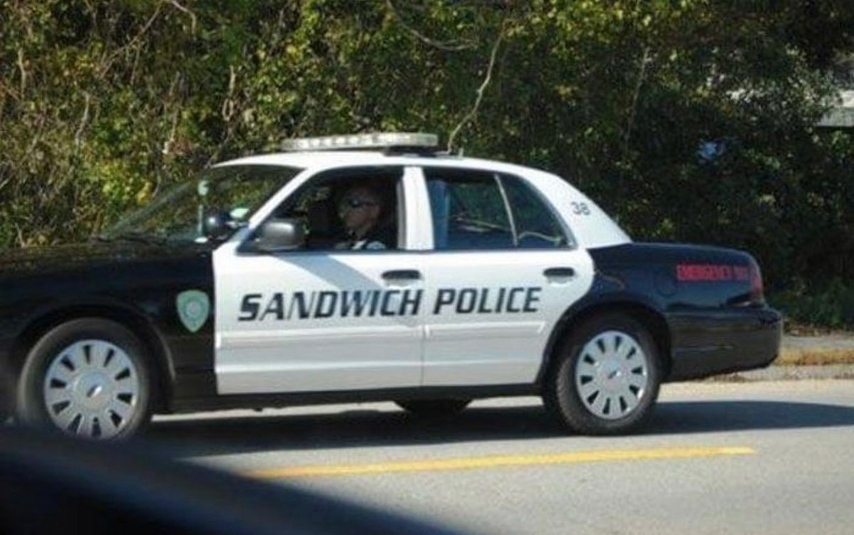 My Favorite Police… 🥪 👮‍♀️ 
#SandwichPolice, #TakeMeToJail, #MyFavoritePolice, #Police, #HaHa, #TakeMeAway, #FamousShamusUSA, #SandwichEnforcement, #Sandwich, #FamousShamus