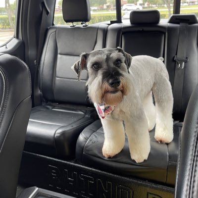 nikitalemon's tweet photo. #NewProfilePic https://t.co/CiNznUyLnM