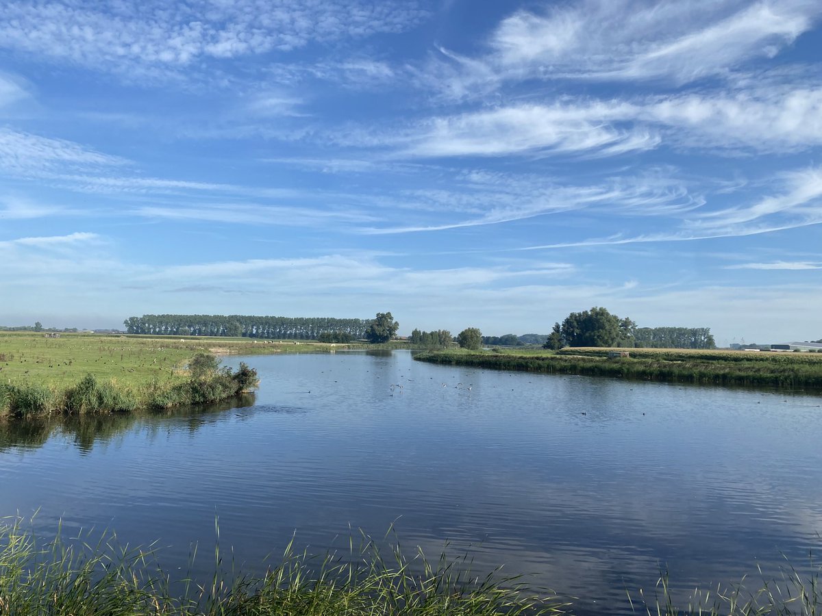 Susan Kennedy tweet media