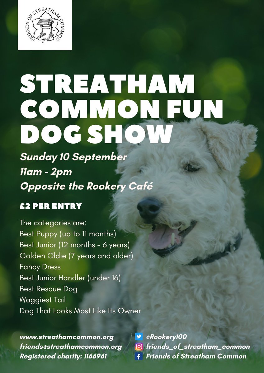 It's back this September, Sunday 10th; the fabulous #streatham common fun dog show. Time to get grooming, planning that top outfit and rehearsing those key words that really get the tail wagging. No dog, no problem. To help us on the day, email volunteering@streathamcommon.org