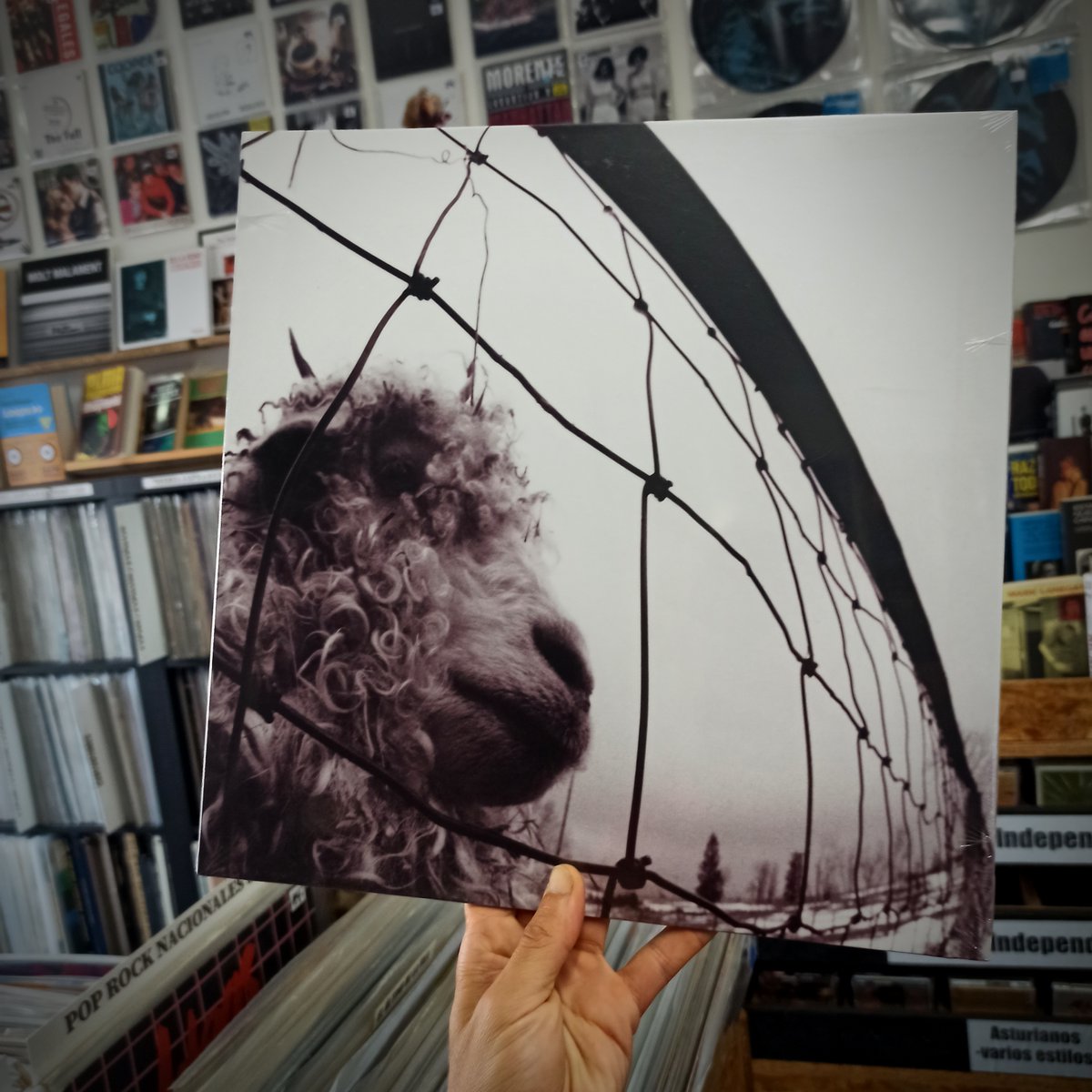 _Altafidelidad's tweet photo. El segundo álbum de Pearl Jam es más crudo y tiene menos cohesión que su predecesor, pero aún así fue un súper éxito a nivel comercial. Paradójicamente varios de los temas reflejan la insatisfacción de la banda por su estatus de estrellas #PerlJam #Grunge #discazos https://t.co/hby54oZPHd