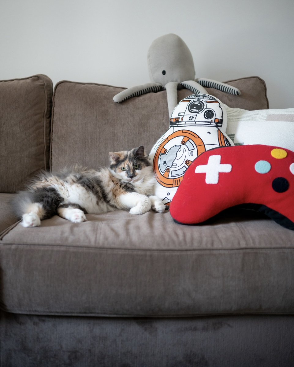 rawrycat's tweet photo. Fridays round here 😪 https://t.co/kFGHn3lRXn
