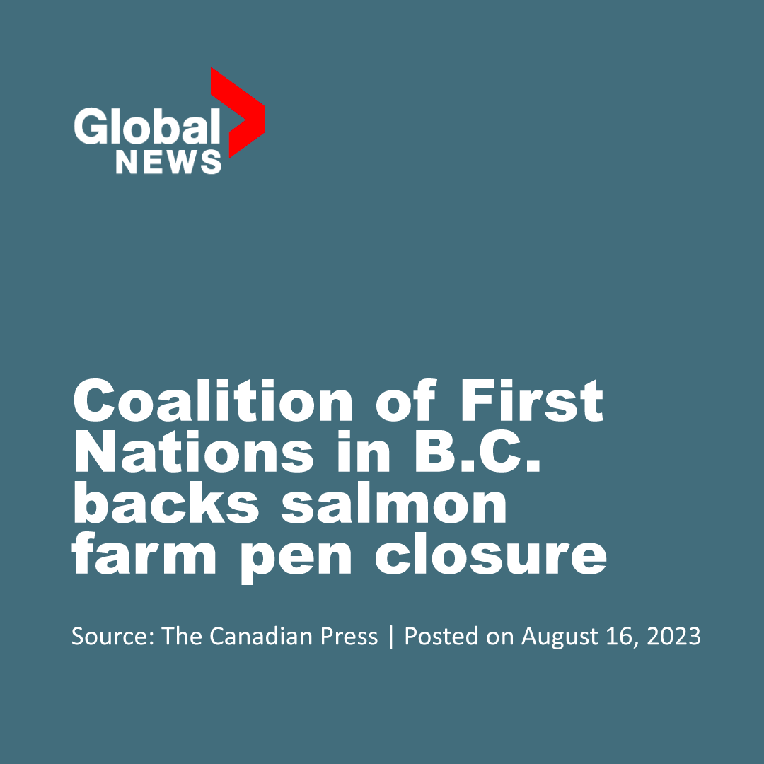 The Union of BC Indian Chiefs, along with a coalition representing 19 First Nations in British Columbia, is stepping up in Federal Court to support the decision to remove open-net pen salmon farms from the Discovery Islands. It’s time to #endthepens and protect wild salmon for…
