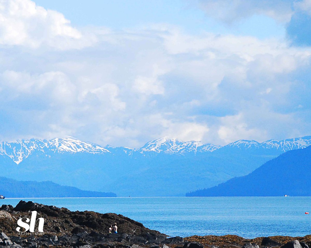 SimoneHesterArt's tweet photo. Every have your breath taken away? It happens to me when I am surrounded by Mother Nature's beauty. Had quite a few of those moments visiting Alaska. Here's a little view from Wrangell title "Stunning."

#alaskaphotography #photography #photooftheday https://t.co/VcmSX5Gh6L