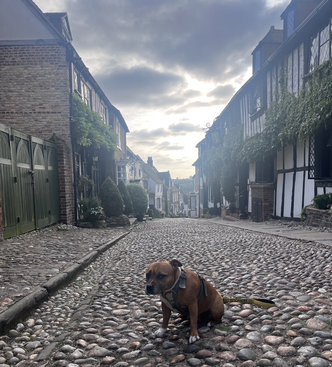 camillabarker's tweet photo. More influencing from Wendy Lady. No filter on that sky. She’s looking thrilled as always 💜💜💜

#rye #mermaidstreet #historicbritain #smuggling https://t.co/8p0XeTE91h
