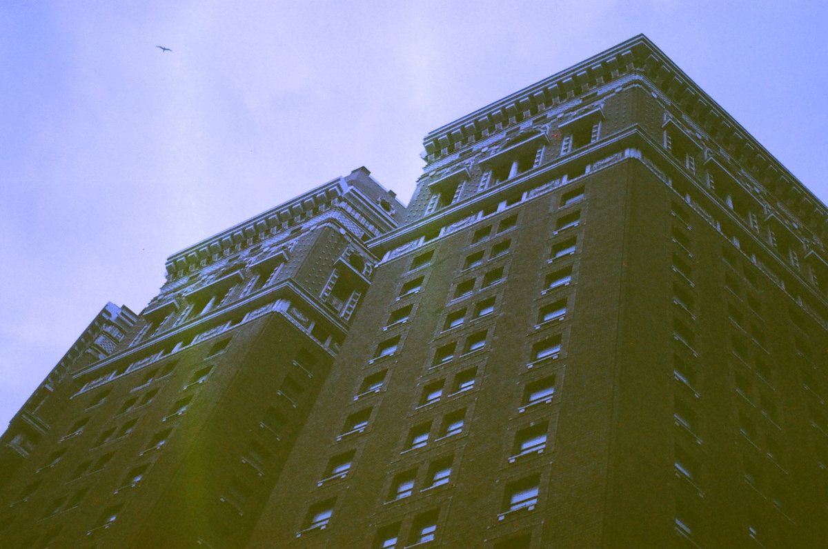 synanthropy's tweet photo. ohh okay i get why people shoot expired film now. https://t.co/eiRWoMWZNA