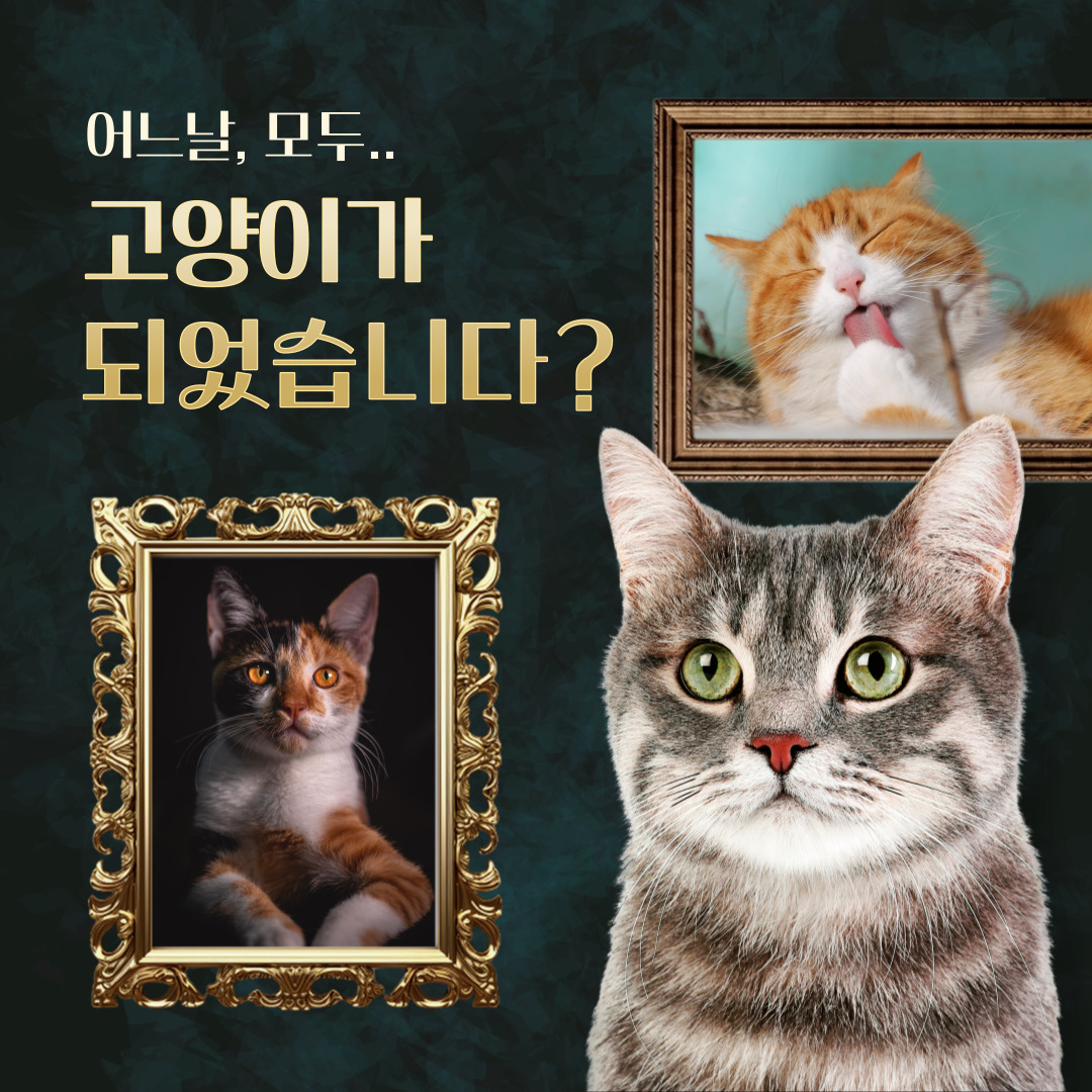 GalleryRona's tweet photo. 일상이 예술이 되는 공간

 #갤러리로나(서울강남) #미술작품전시 #사진전시 
#졸업전시 #조형물설치전시 #소규모모임 #공간전시 
#케이터링행사 #생일파티 #영상전시작품 #예술전시 
#책사인회 #작가와의만남 #송년회예약 #대관 
#아이돌생일파티 #컵홀더갤러리 #강남전시대관 
#선릉전시대관 #고양이사진전 #강아지사진전 
#내애완견자랑하기사진전 

- 150인치 대형스크린
- 액자레일+조명설치
- 음향시설
- 문의고고 (0506-575-7516)