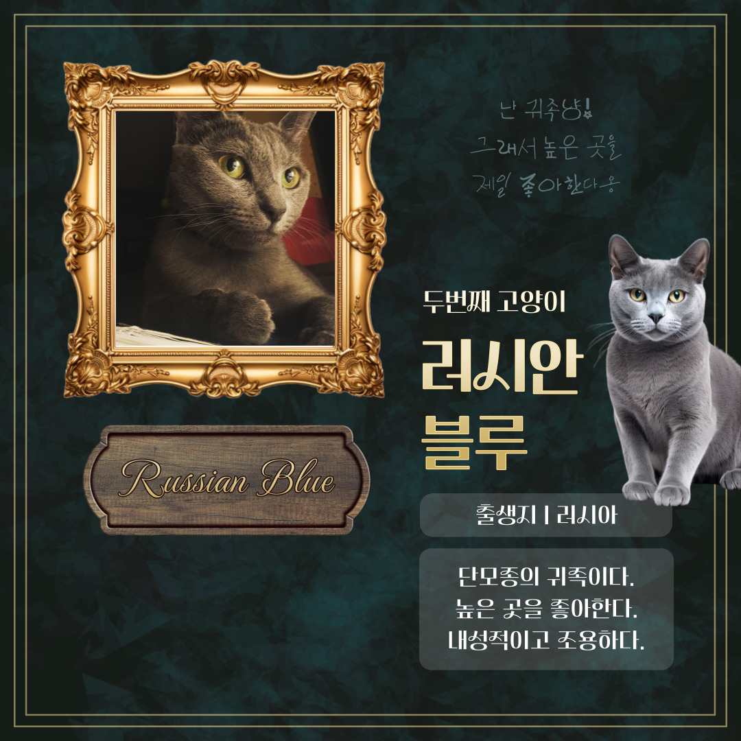 GalleryRona's tweet photo. 일상이 예술이 되는 공간

 #갤러리로나(서울강남) #미술작품전시 #사진전시 
#졸업전시 #조형물설치전시 #소규모모임 #공간전시 
#케이터링행사 #생일파티 #영상전시작품 #예술전시 
#책사인회 #작가와의만남 #송년회예약 #대관 
#아이돌생일파티 #컵홀더갤러리 #강남전시대관 
#선릉전시대관 #고양이사진전 #강아지사진전 
#내애완견자랑하기사진전 

- 150인치 대형스크린
- 액자레일+조명설치
- 음향시설
- 문의고고 (0506-575-7516)