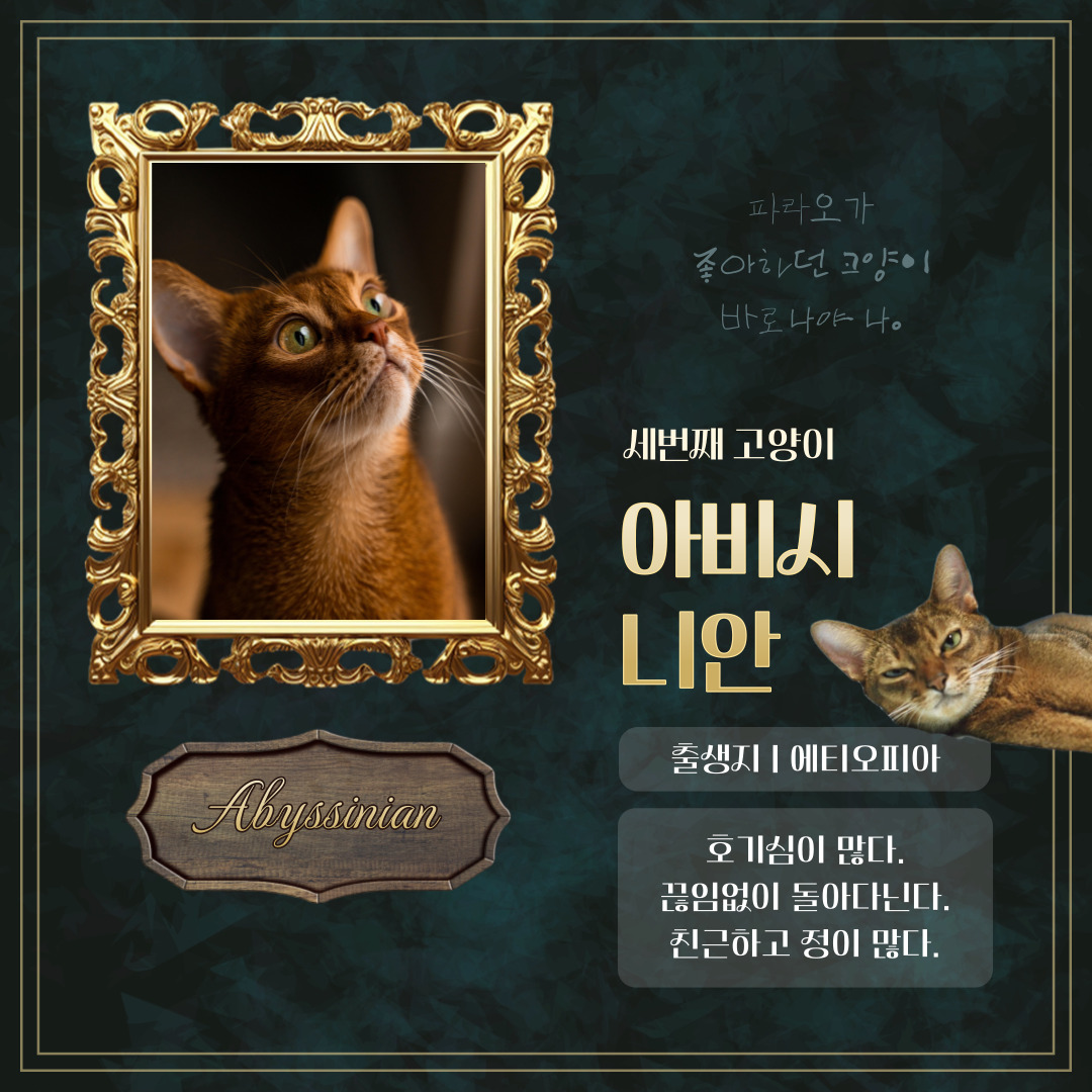 GalleryRona's tweet photo. 일상이 예술이 되는 공간

 #갤러리로나(서울강남) #미술작품전시 #사진전시 
#졸업전시 #조형물설치전시 #소규모모임 #공간전시 
#케이터링행사 #생일파티 #영상전시작품 #예술전시 
#책사인회 #작가와의만남 #송년회예약 #대관 
#아이돌생일파티 #컵홀더갤러리 #강남전시대관 
#선릉전시대관 #고양이사진전 #강아지사진전 
#내애완견자랑하기사진전 

- 150인치 대형스크린
- 액자레일+조명설치
- 음향시설
- 문의고고 (0506-575-7516)