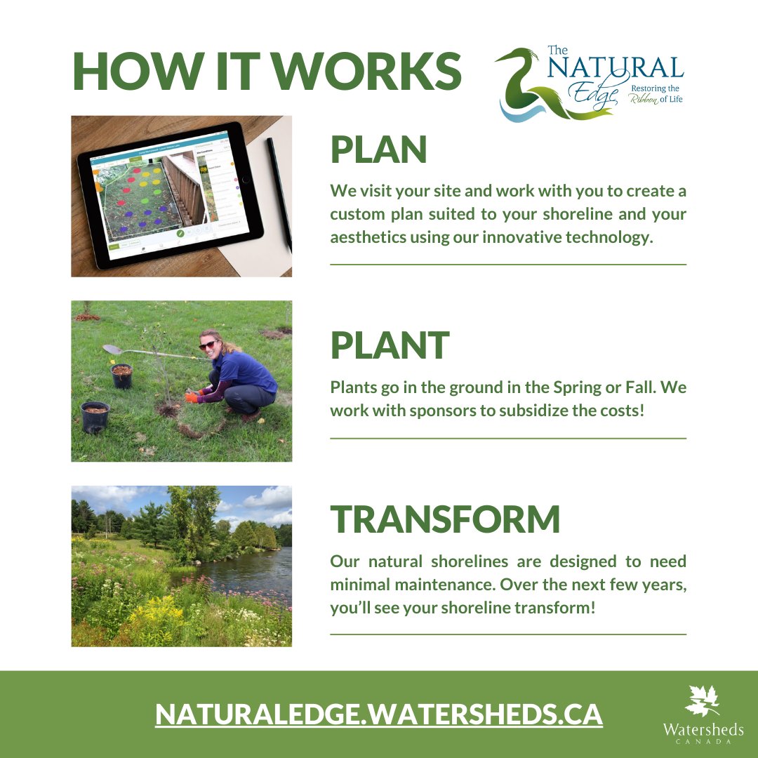 Protect your freshwater by restoring a natural shoreline using native trees, shrubs, and wildflowers with the Natural Edge program!

For an overview of the Natural Edge program watch: youtu.be/s1BFOrdQInw

Visit naturaledge.watersheds.ca to learn more!