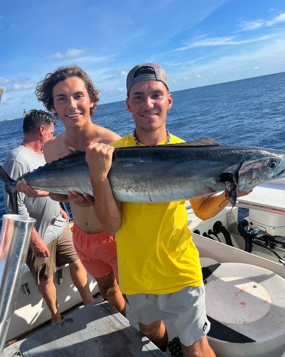 ᗩᒪE᙭ tweet media