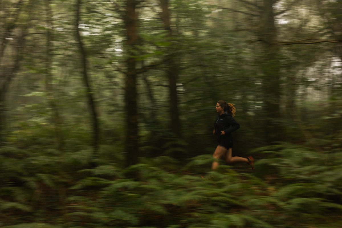 The green room, Devon 🌿