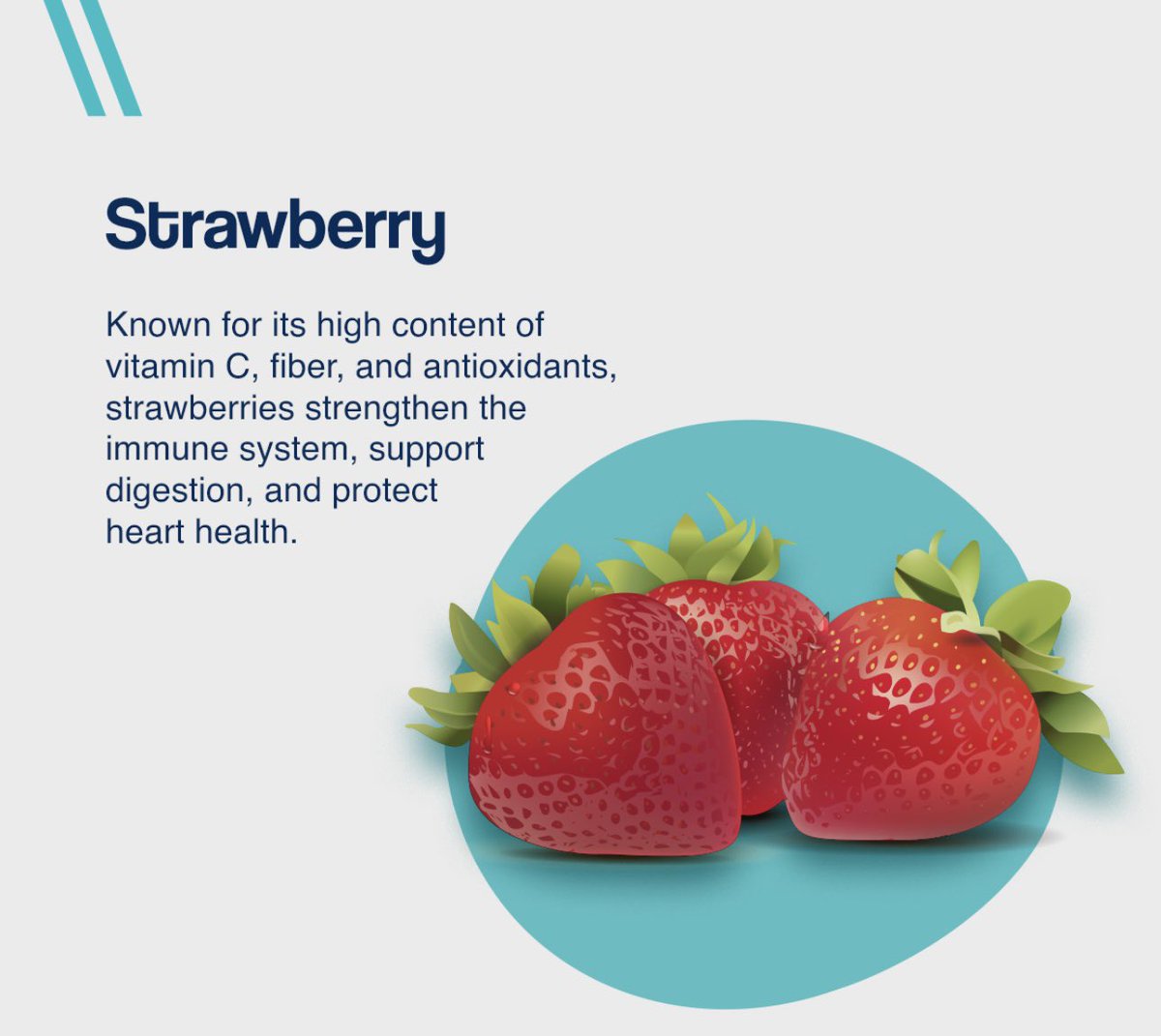 Dr_Rashidd's tweet photo. FRUITS- support our body, strengthen our immune system and improve our quality of life with the vitamins, minerals and antioxidants they contain.

Discover some of the summer fruits that are good for your health and the important benefits they provide;

✔️Mango
✔️Watermelon 
✔️Strawberry 
✔️Cherry 

#EatFruits 
#EatHealthy