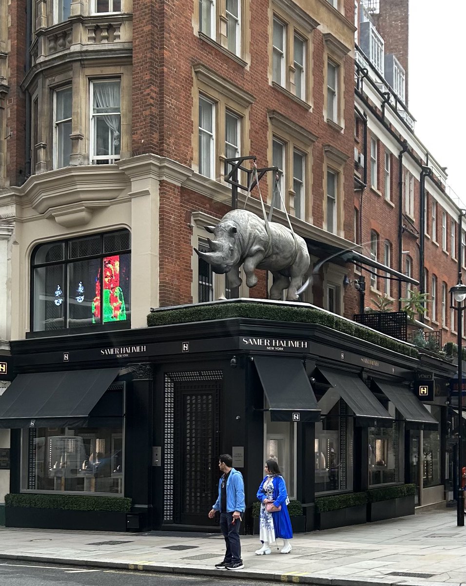 Didn’t expect to see that there!! #shopfrontFriday #RhinoFriday