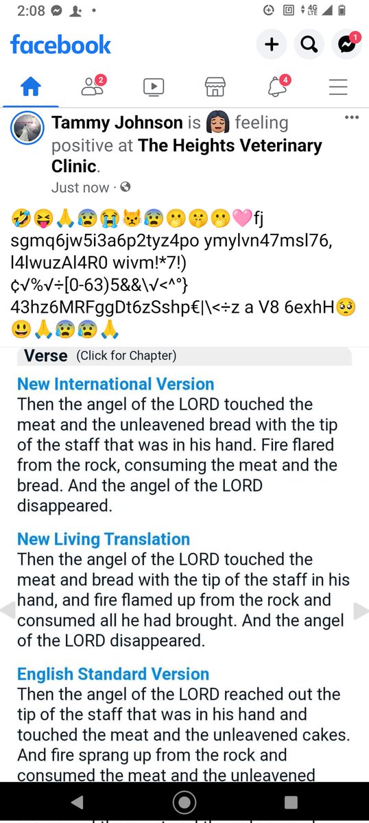 Tammy Johnson tweet media