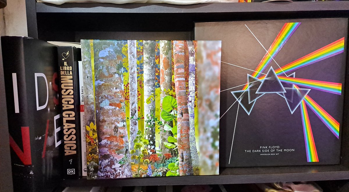 LarajamTosca's tweet photo. Piccoli grandi tesori...
Little big treasures...
#DavidSylvian #pinkfloyd #boxset #darksideofthemoon #thedarksideofthemoon #music #musicinspiration #spotify #musica #musicart #moon #davidsylvian #tresures #collection #art #artist #artistontwittter #artstudio #ArtistOnX https://t.co/RIg3zwJ2TG
