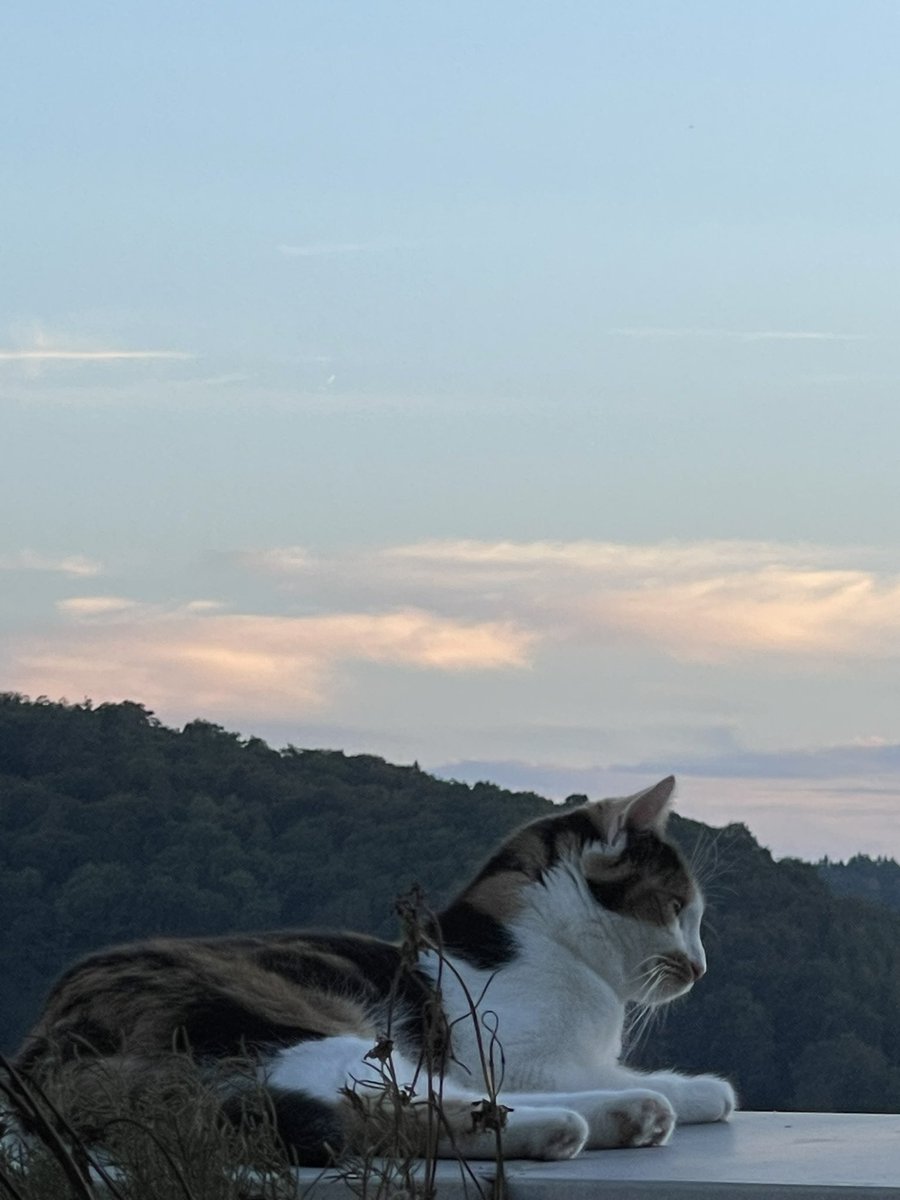 <a href="/jimtalbot/">jim</a> she says hi