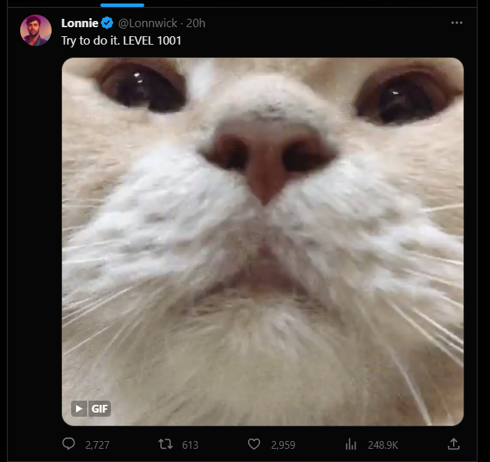 void tweet media
