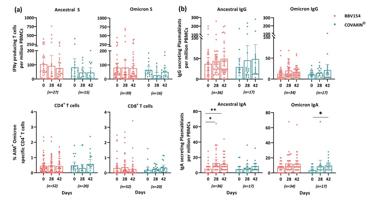 EricTopol's tweet photo. Just published
When a nasal vaccine provides superior immune response compared with a shot (2 doses of each). Results from a randomized clinical trial, including vs Omicron, and with less local and systemic adverse effects
https://t.co/lphuLhA2Zi https://t.co/XrX4wckMVx