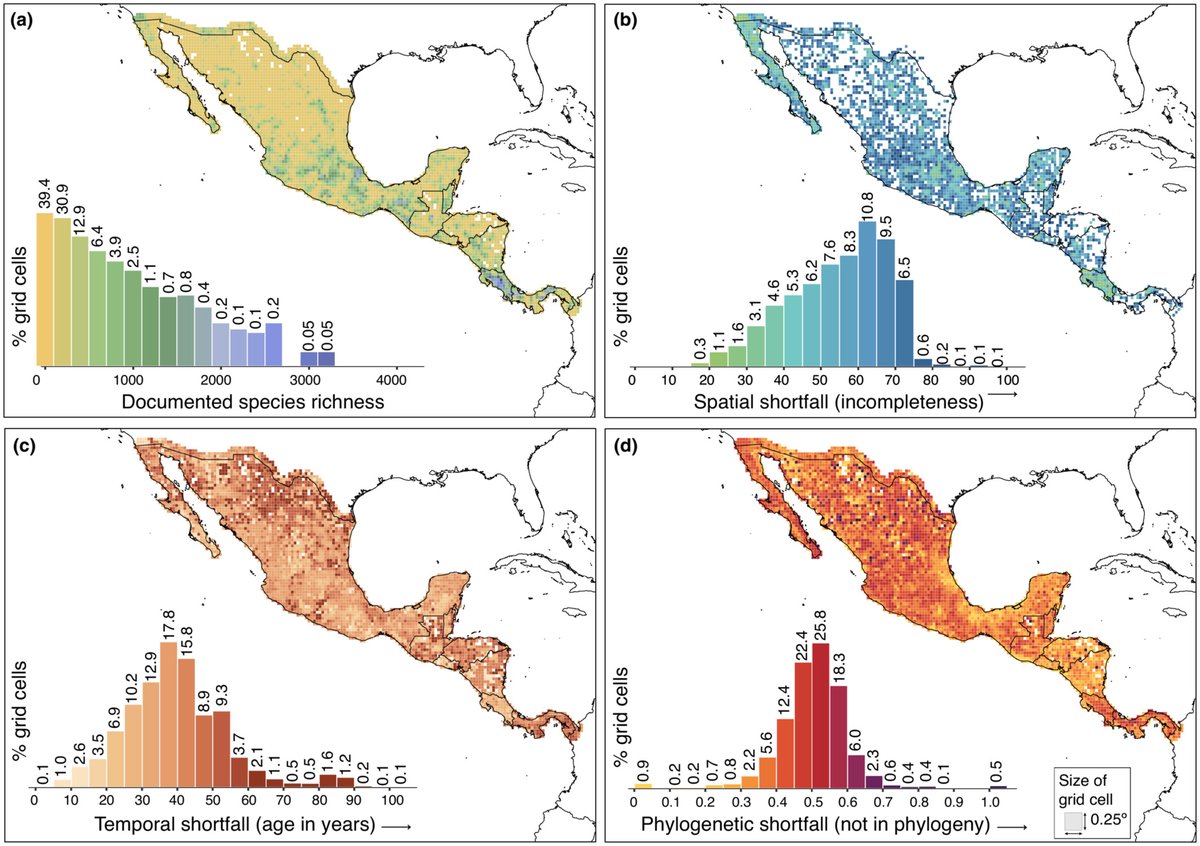 Botanical knowledge shortfalls across Mesoamerica Ramírez-Barahona et al. @LabSpiritu @angela4_21 @AngiosSusana @ib_unam 📖 ow.ly/TY6L50Pzfr1