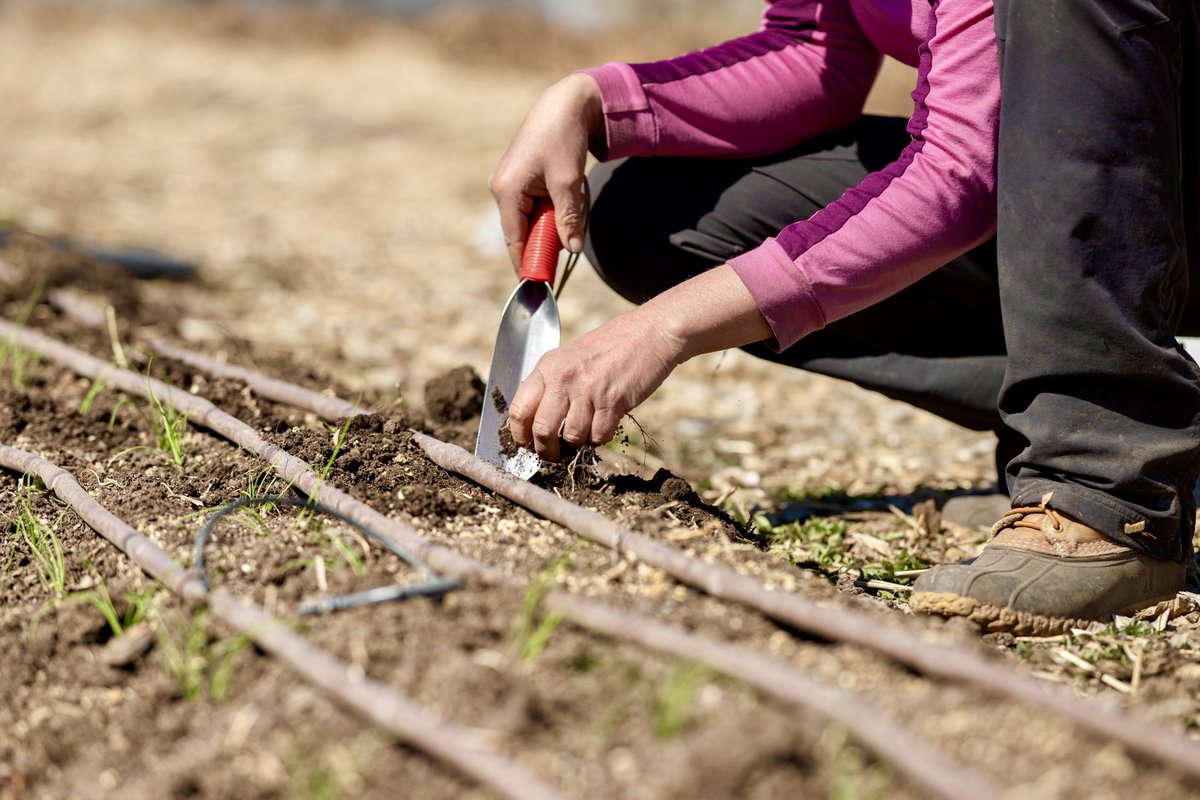 The Hunger Coalition tweet media