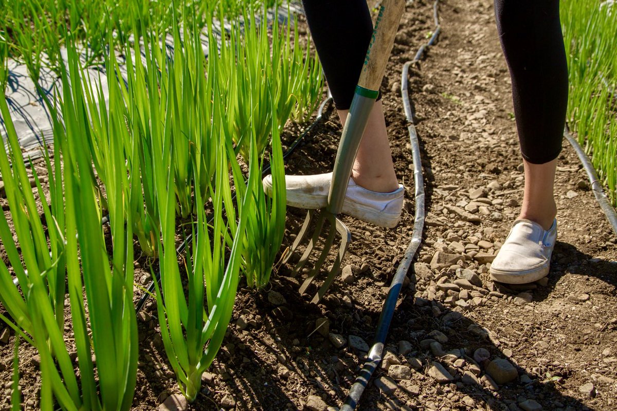 The Hunger Coalition tweet media