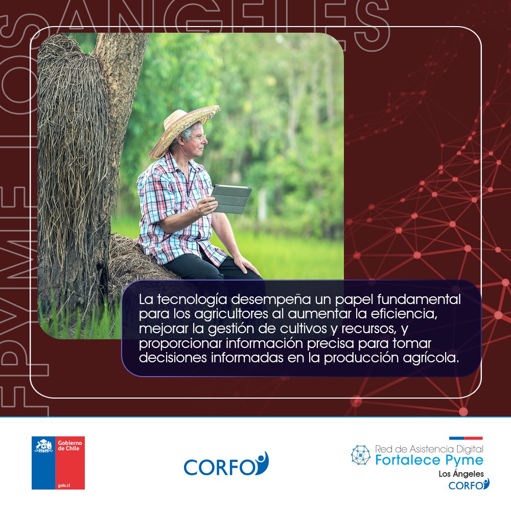 fortalecepyme's tweet photo. #FPYMELosÁngeles | ¿Sabías qué? ¡Entérate de todos estos datos en nuestras redes sociales! 💻 🌱
📲 Ingresa a: https://t.co/fI92p2Dvjh
#FPYME #FortalecePYME #PYMEs #Agrícola #Agricultura #Agro #Cultivos #LosÁngeles #Biobío #Chile https://t.co/tvphpoP0C3
