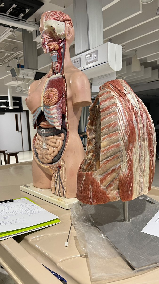 anis_omaima's tweet image. Me, going over mediastinum and its contents for Year 1 med students, while at the same time, my father in the next room was delivering a lecture on pediatric orthopedics to residents and consultants. 
A lovely coincidence!
I think I get my love for teaching from him.