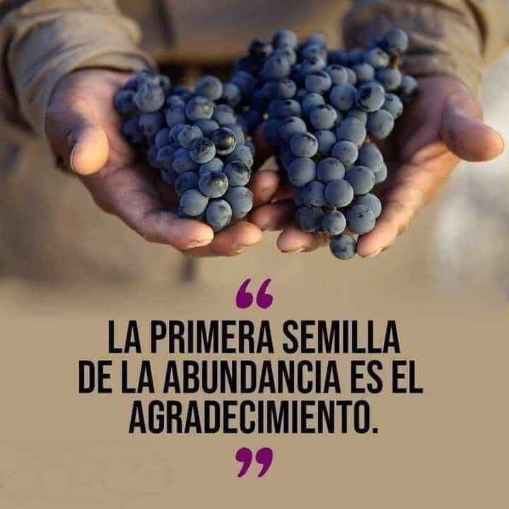 Quién no sepa agradecer es un cadáver en vida...