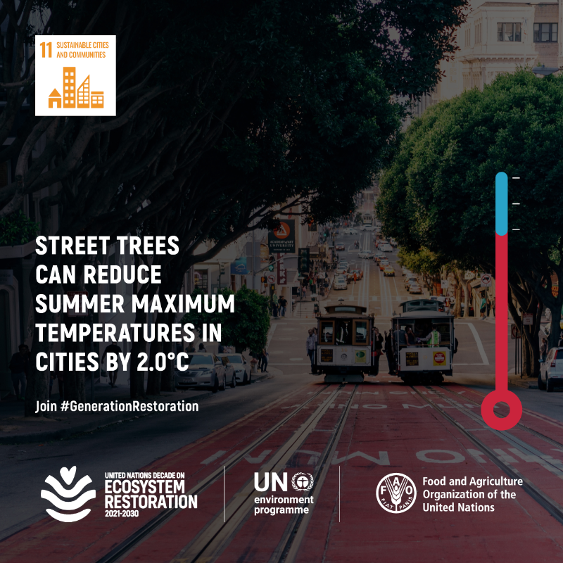 UNEP's tweet photo. How can #GenerationRestoration efforts contribute to sustainable cities and communities? By

🟢Including restoration goals in urban development plans
🟢Raising awareness of the importance of urban green spaces
🟢Investing in green infrastructure.