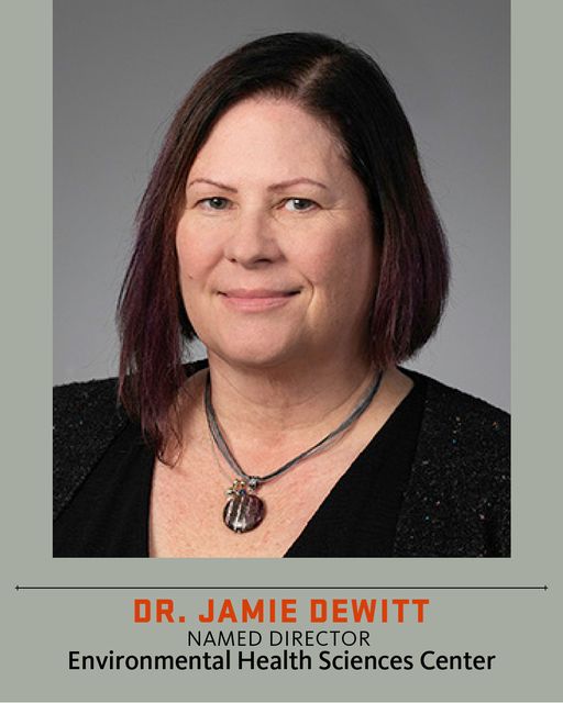 OSU_EHSC's tweet image. Welcome to Dr. Jamie DeWitt, named Director of the Environmental Health Sciences Center! 🎉

With a Ph.D. in Environmental Science and Neural Science, she brings more than 20 years of experience in leading innovative research in environmental toxicology and human health.