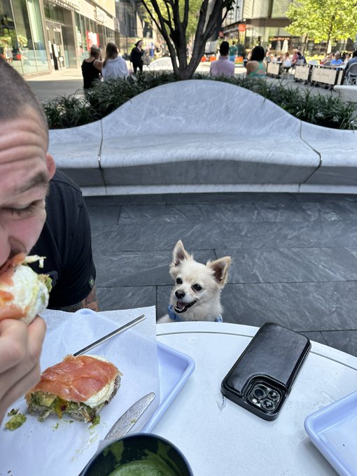 NYC: DAY 1 https://t.co/gtdsKzC0RH