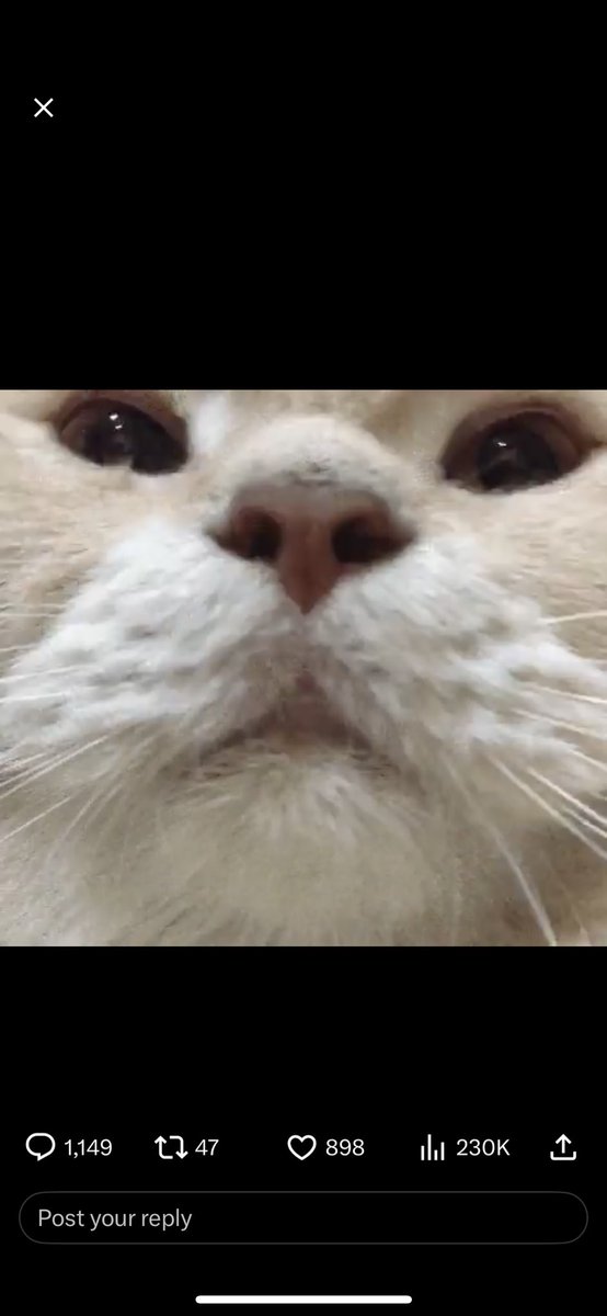 Snow4_U's tweet photo. @Crispy Did it https://t.co/Cidz1bFOZp