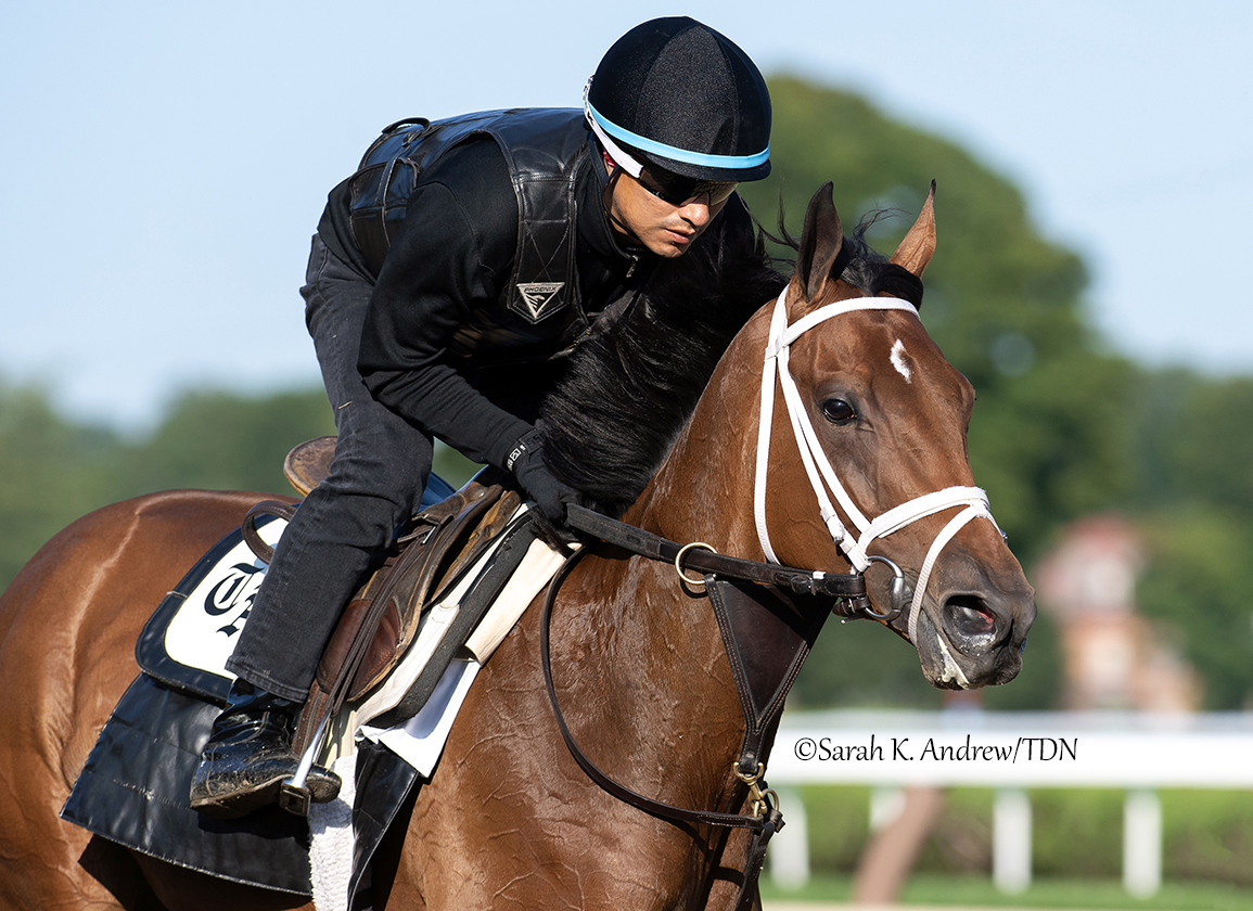 theTDN's tweet photo. Hall of Fame trainer Todd Pletcher sends out three contenders for Saturday's GI Alabama S. at Saratoga in the form of GII winner JULIA SHINING (Curlin), GI-placed GAMBLING GIRL (Dialed In) and GI winner CHOCOLATE GELATO (Practical Joke).
Saturday's preview: https://t.co/IrH47i08hS