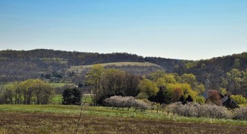 AmeliaWardfs's tweet photo. Northampton County, Pennsylvania 🇺🇸 https://t.co/fIwMFEoTZ0