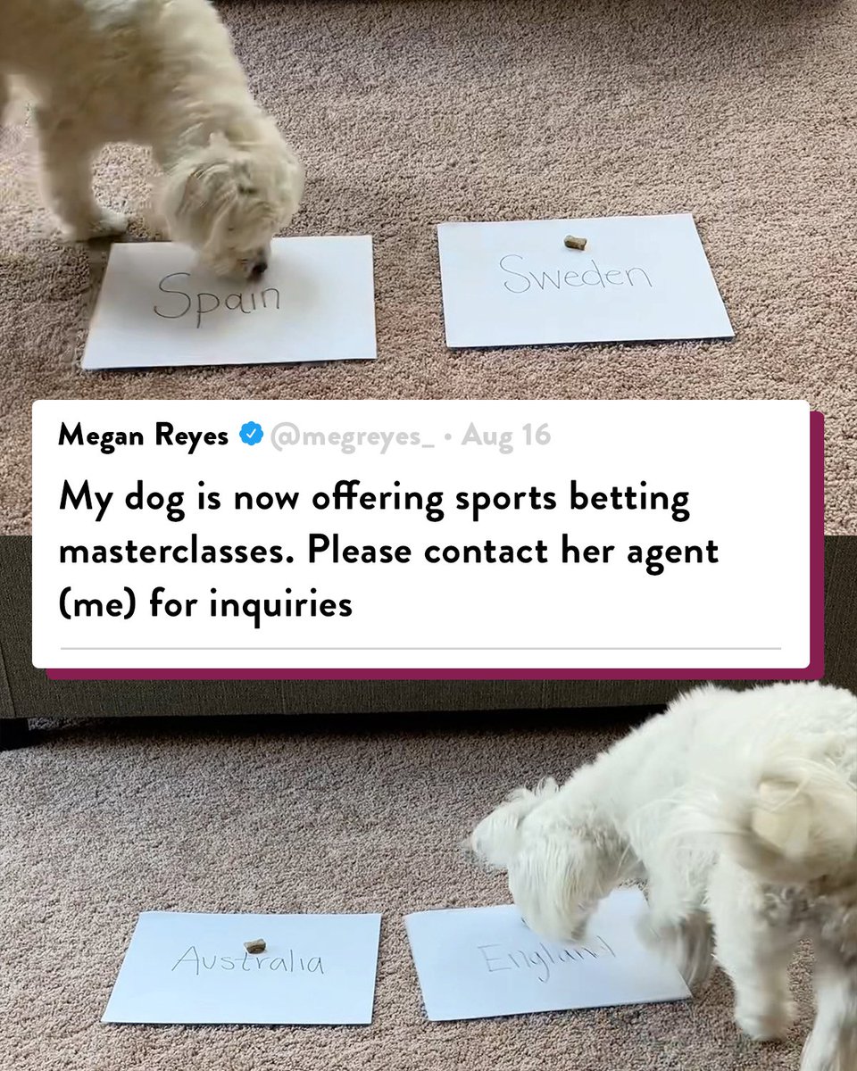 10/10 would bet on this pup 🐶 Now we need to see their predicted #FIFAWWC winner! (via @megreyes_)