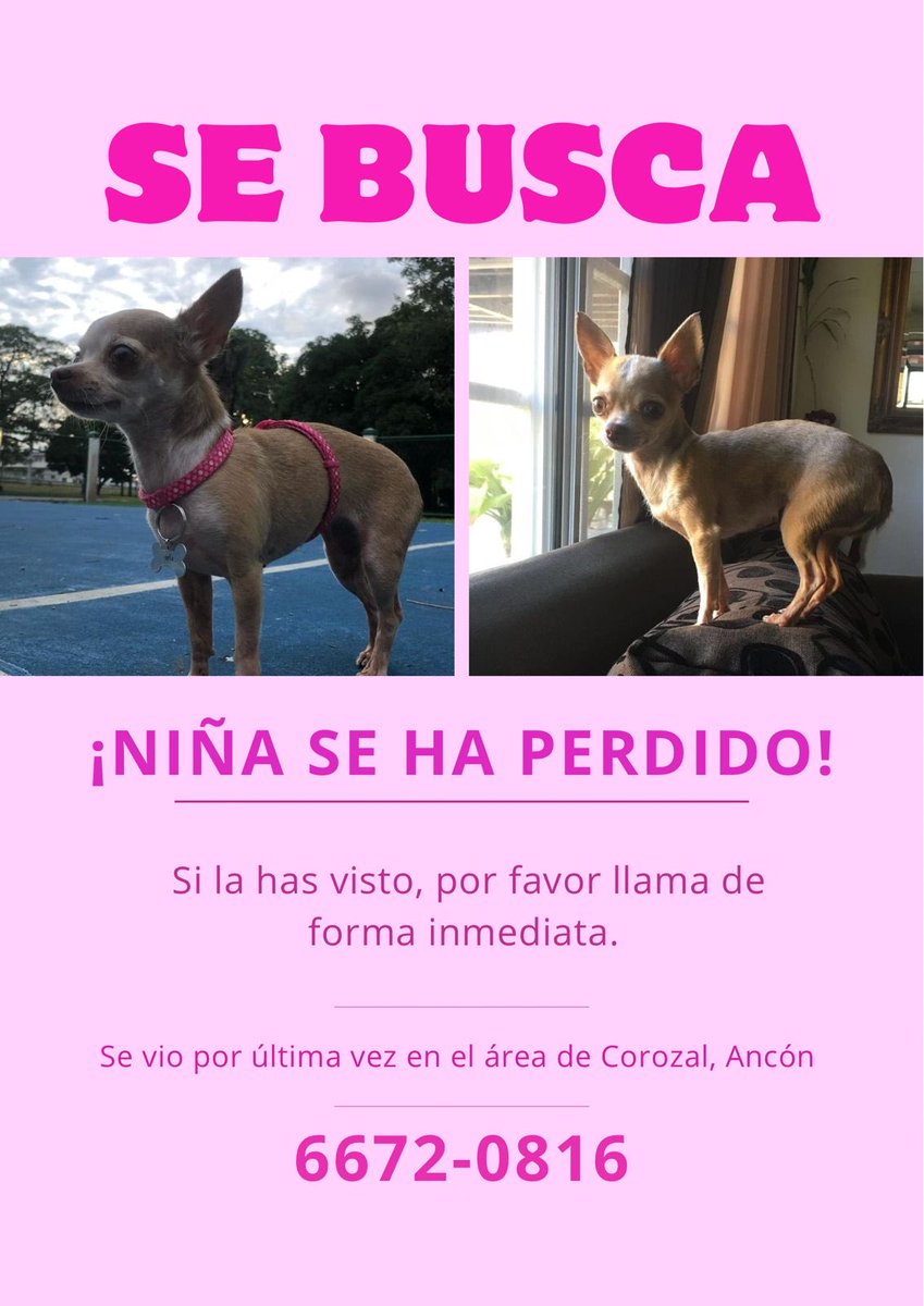 ivetteodalys's tweet photo. ATENCIÓN ANCÓN!
La bella NIÑA se extravió 
Agradecemos compartir este mensaje !
Su familia está buscándola https://t.co/IJBVT5sstc